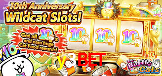 y3bet.com